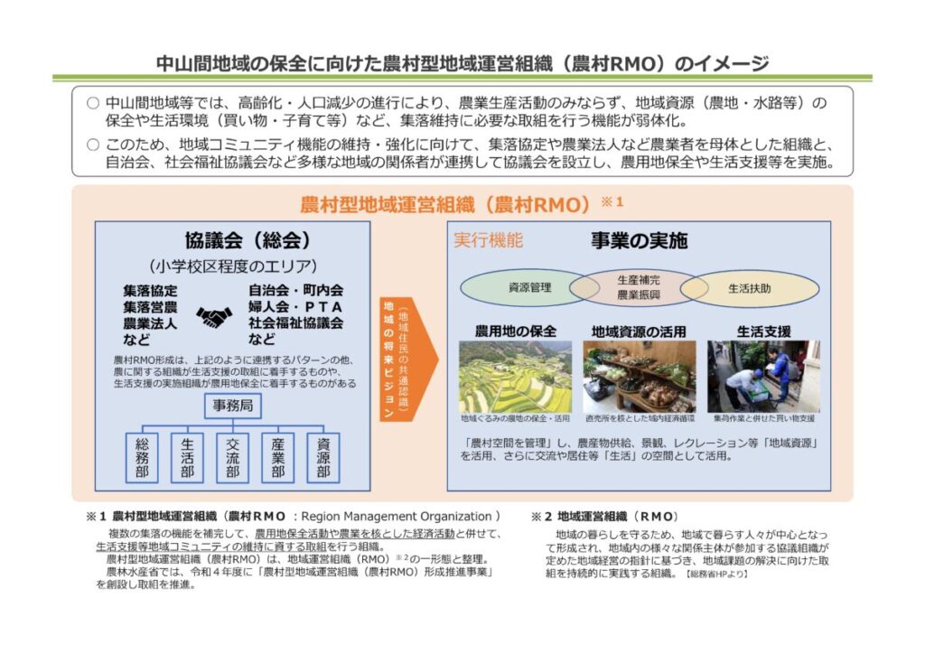 中山間地域の保全に向けた農村型地域運営組織（農村RMO）のイメージ